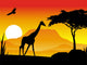 beauty silhouette of giraffe with sunset background Wall Mural
