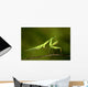 praying Mantis 03 Wall Mural