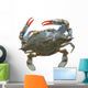 Sea Crab