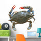 Sea Crab