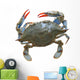 Sea Crab