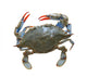 Sea Crab