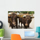 Pair of Oxen with Yoke Wall Mural