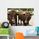 Pair of Oxen with Yoke Wall Mural