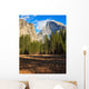 Yosemite Valley Landscape