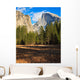 Yosemite Valley Landscape