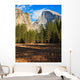 Yosemite Valley Landscape