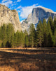 Yosemite Valley Landscape