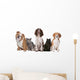 Group Cats and Dogs Wall Decal