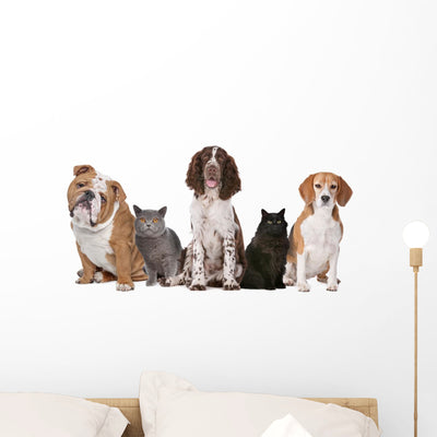Group Cats and Dogs Wall Decal shown on a wall