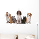 Group Cats and Dogs Wall Decal