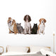 Group Cats and Dogs Wall Decal