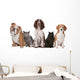 Group Cats and Dogs Wall Decal