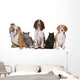 Group Cats and Dogs Wall Decal