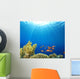 Coral Reef Scene with
