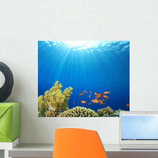 Coral Reef Scene with