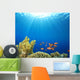 Coral Reef Scene with