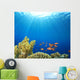 Coral Reef Scene with