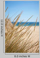 Beautiful Deserted Beach