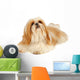 Shih Tzu Studio Wall Decal