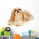 Shih Tzu Studio Wall Decal