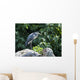 Grey Heron Standing Rock Wall Mural