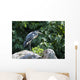 Grey Heron Standing Rock Wall Mural