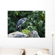 Grey Heron Standing Rock Wall Mural