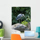 Grey Heron Standing Rock Wall Mural