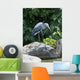 Grey Heron Standing Rock Wall Mural