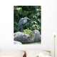 Grey Heron Standing Rock Wall Mural