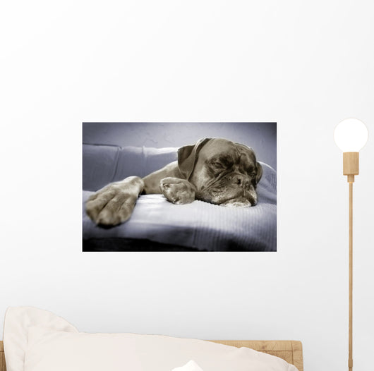 lazy dog Wall Mural