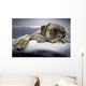 lazy dog Wall Mural