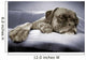 lazy dog Wall Mural