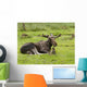 Moose Wall Mural