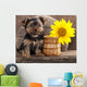Yorkshire Terrier Puppy and