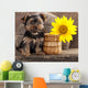 Yorkshire Terrier Puppy and