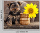 Yorkshire Terrier Puppy and