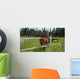 Horses Grazing Pasture