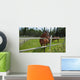 Horses Grazing Pasture