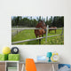 Horses Grazing Pasture