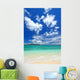 Transparent Waves and Summer