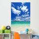 Transparent Waves and Summer