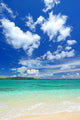 Transparent Waves and Summer