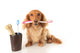 Dog and Tooth Brush Wall Decal