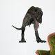 Alioramus Dinosaur Wall Decal