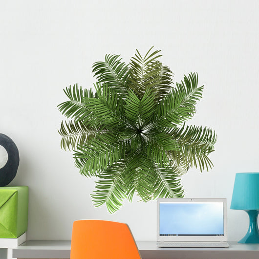 Top Areca Palm Tree Wall Decal