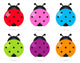 Cute colorful Ladybug set isolated on white Wall Decal