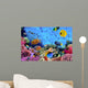 Photo Coral Colony Wall Decal