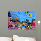 Photo Coral Colony Wall Decal